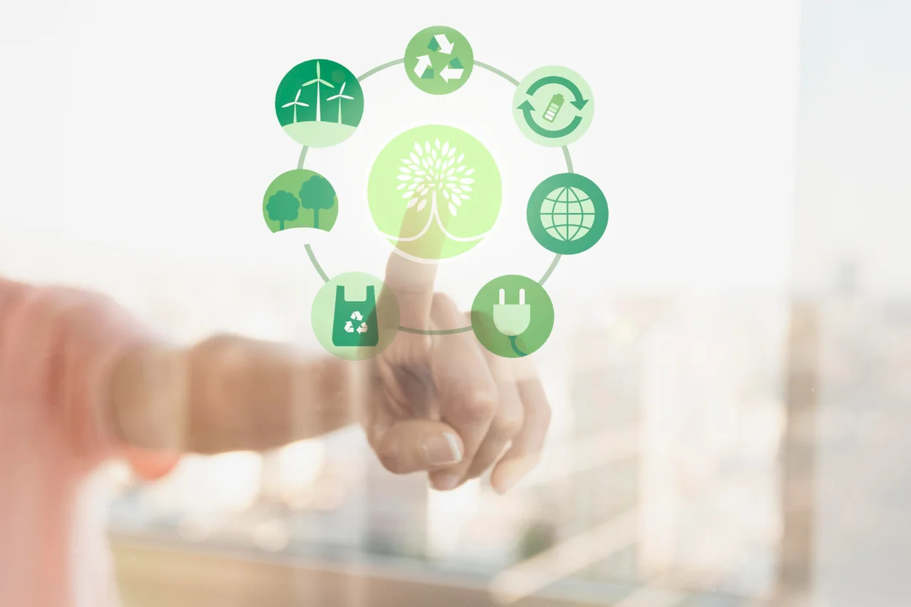 Investimentos Sustentáveis: Como Investir?